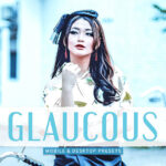 40 پریست لایت روم پرتره سینمایی و پریست کمرا راو و اکشن فتوشاپ Glaucous Lightroom Presets