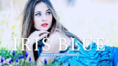40 پریست لایت روم پرتره و پریست کمرا راو و اکشن فتوشاپ تم چشم آبی Iris Blue Lightroom Presets