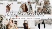57 پریست لایت روم 2022 عکس زمستان Bright Clean WINTER WHITES Holiday Lightroom Preset