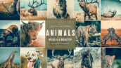 9 پریست لایت روم حیوانات و اکشن فتوشاپ Animals Cinematic Photoshop Actions Presets
