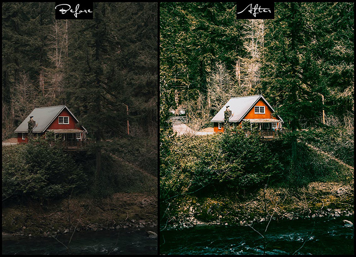 9 پریست لایت روم زندگی جنگلی و اکشن فتوشاپ Wild Life Photoshop Actions Lightroom Presets