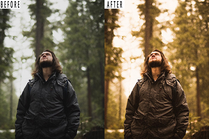 9 پریست لایت روم پاییز و اکشن فتوشاپ Forest Tone Photoshop Action Lightrom Presets