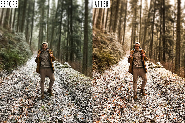 9 پریست لایت روم پاییز و اکشن فتوشاپ Forest Tone Photoshop Action Lightrom Presets