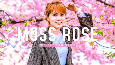 40 پریست لایت روم و پریست کمرا راو و اکشن فتوشاپ تم بهار Moss Rose Lightroom Presets