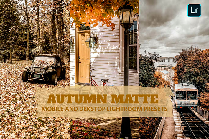 14 پریست لایت روم 2022 فصل پاییز Autumn Matte Lightroom Presets