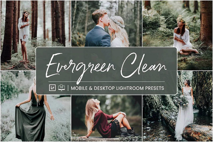 10 پریست لایت روم 2022 حرفه ای رنگی تم جنگل Evergreen Clean Preset