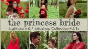 32 پریست لایت روم و اکشن فتوشاپ و لات رنگی تم پرنسس Princess Bride Lightroom Presets