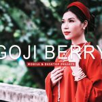 40 پریست لایت روم و پریست کمرا راو و اکشن فتوشاپ تم رنگی قرمز Goji Berry Lightroom Presets