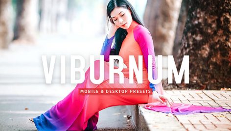 40 پریست لایت روم و پریست کمرا راو و اکشن فتوشاپ تم رنگی گرم Viburnum Lightroom Presets