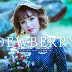 40 پریست لایت روم و پریست کمرا راو و اکشن فتوشاپ Dewberry Lightroom Presets