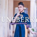 40 پریست لایت روم و پریست کمرا راو و اکشن فتوشاپ تم لایف استایل Juneberry Lightroom Presets