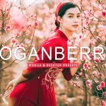 40 پریست لایت روم و پریست کمرا راو و اکشن فتوشاپ تم پرتره Loganberry Lightroom Presets