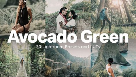 80 پریست لایت روم و لات رنگی 2023 حرفه ای تم سبز آووکادو Avocado Green Lightroom Presets and LUTs